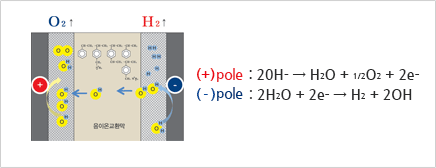 (+)극 : 20H- → H2O + 1/2O2 + 2e- , (- )극 : 2H2O + 2e- → H2 + 2OH